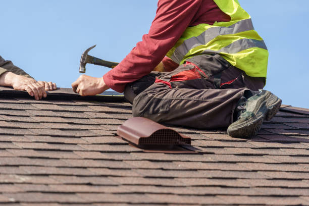 Best Metal Roofing Contractor  in Lake Wazeecha, WI