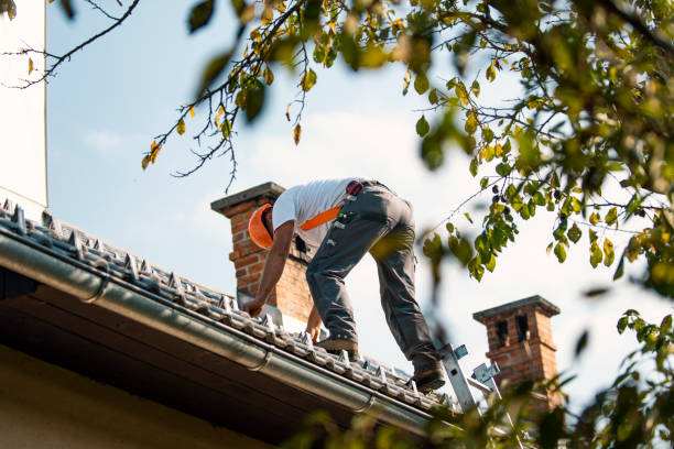 Best Slate Roofing Contractor  in Lake Wazeecha, WI