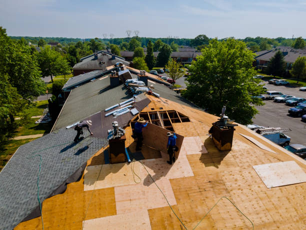 Roof Gutter Cleaning in Lake Wazeecha, WI